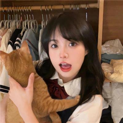 屋中异蛛